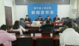 镇平新闻爆料事件最新情况,真相逐步浮出水面