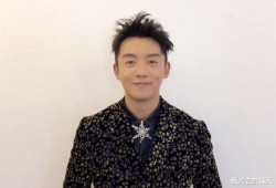 郑恺收入爆料最新消息,揭秘明星真实收入背后的惊人数字