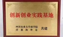 广东财经爆料最新消息,揭秘行业巨头重大动态与市场走向