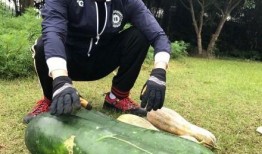 最新有什么瓜爆料,神秘事件引发热议，明星隐私再掀波澜